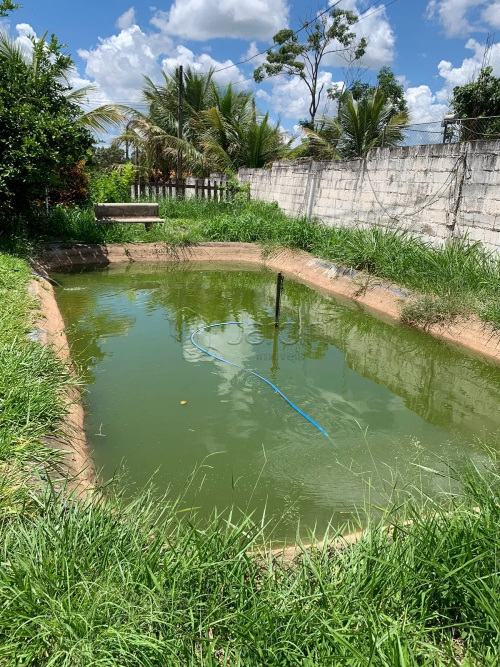 Comprar Rural / Ch&aacute;cara em Cristais Paulista R$ 750.000,00 - Foto 14