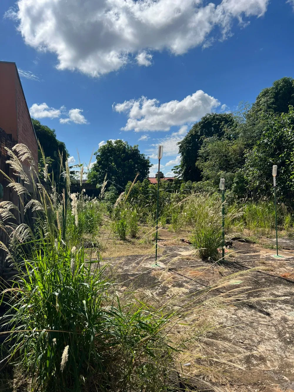 Comprar Terreno / Padr&atilde;o em Cristais Paulista R$ 360.000,00 - Foto 1