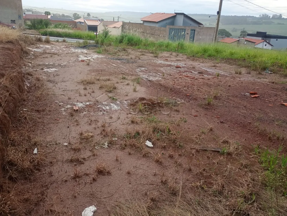 Comprar Terreno / Padr&atilde;o em Patroc&iacute;nio Paulista R$ 90.000,00 - Foto 3